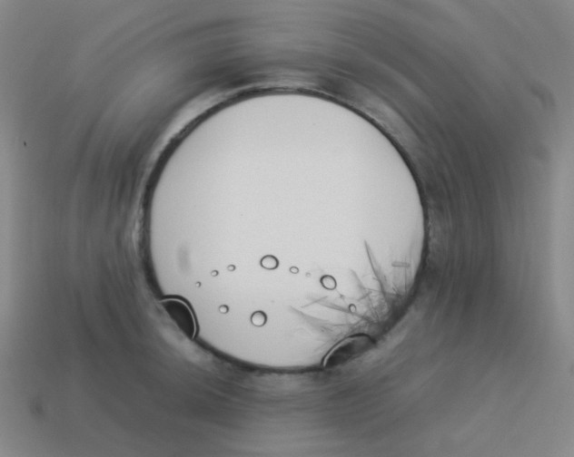 X0000113891044200910221412