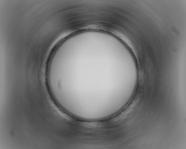 X0000113891045200910221412