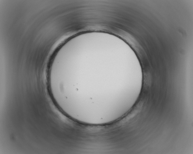 X0000113891046200910221412