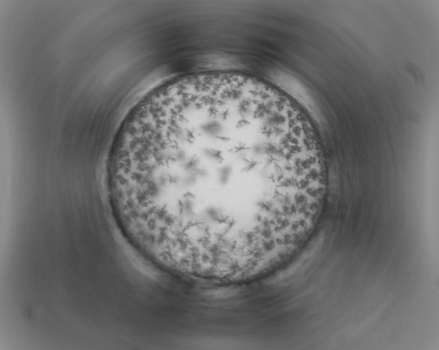 X0000113891047200910221412