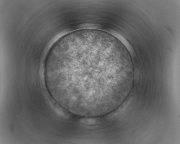 X0000113891051200910221412