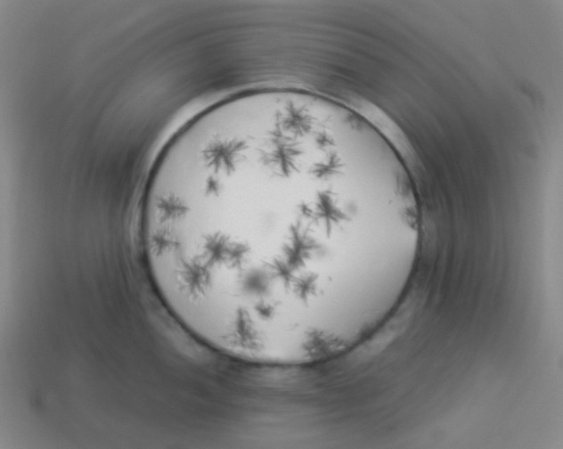 X0000113891052200910221412