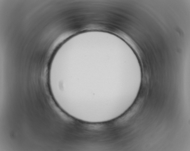 X0000113891053200910221412
