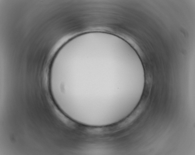 X0000113891054200910221412
