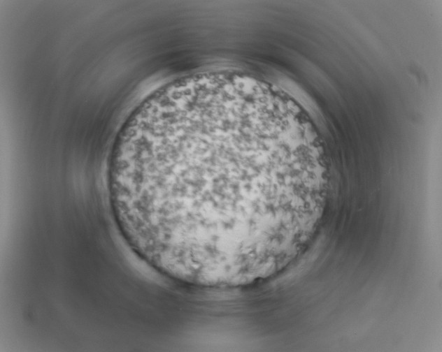 X0000113891055200910221412