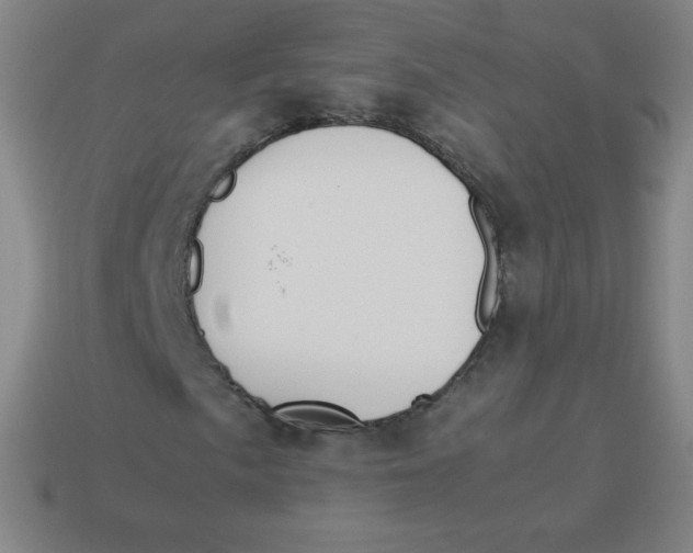 X0000113891057200910221412