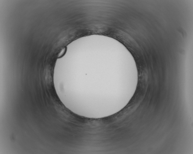 X0000113891058200910221412