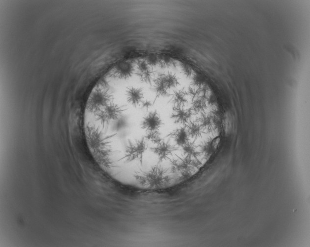 X0000113891059200910221412