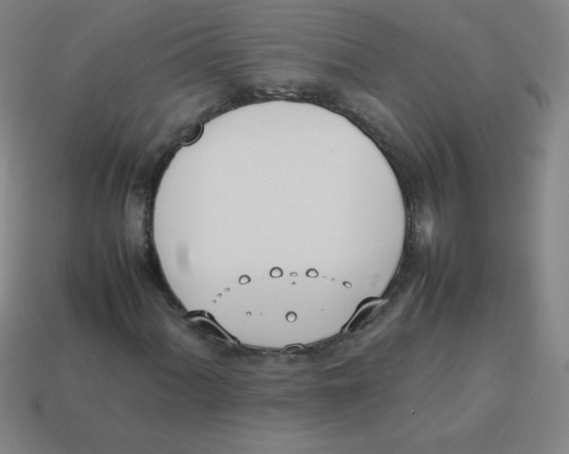 X0000113891060200910221412