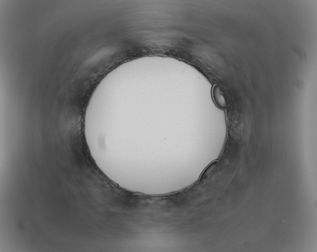 X0000113891061200910221412