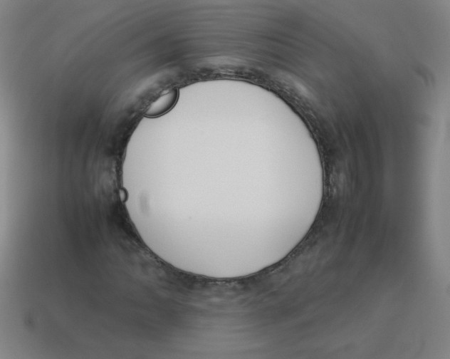 X0000113891062200910221412