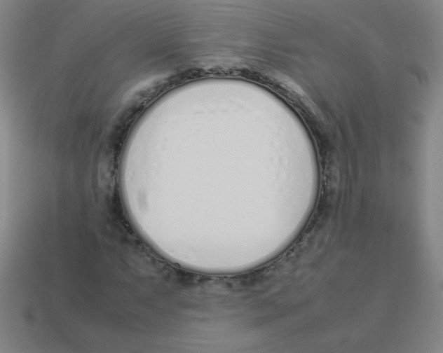 X0000113891063200910221412