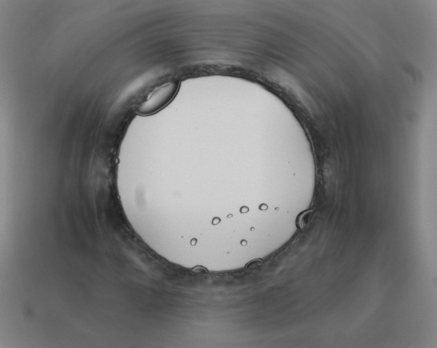 X0000113891064200910221412