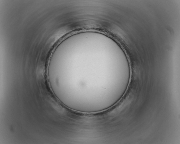 X0000113891065200910221412