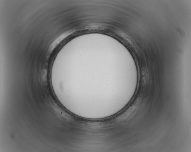 X0000113891066200910221412