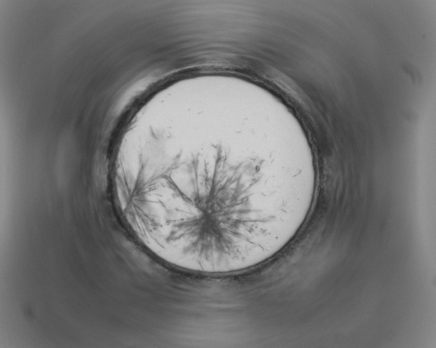 X0000113891067200910221412