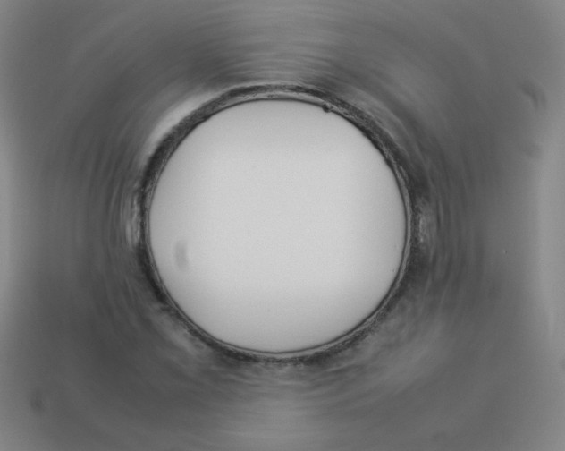 X0000113891069200910221412