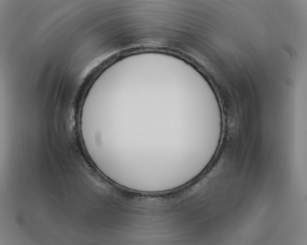 X0000113891070200910221412