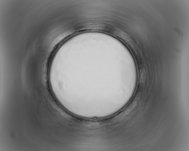 X0000113891071200910221412