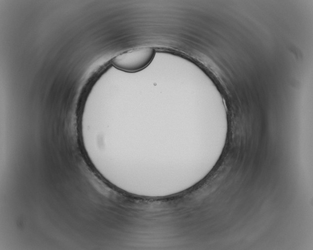 X0000113891072200910221412
