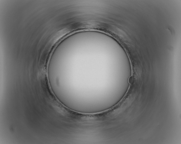 X0000113891073200910221412