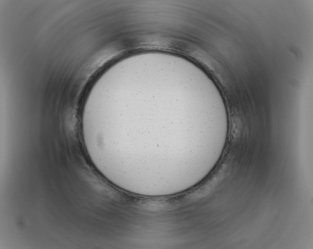 X0000113891074200910221412