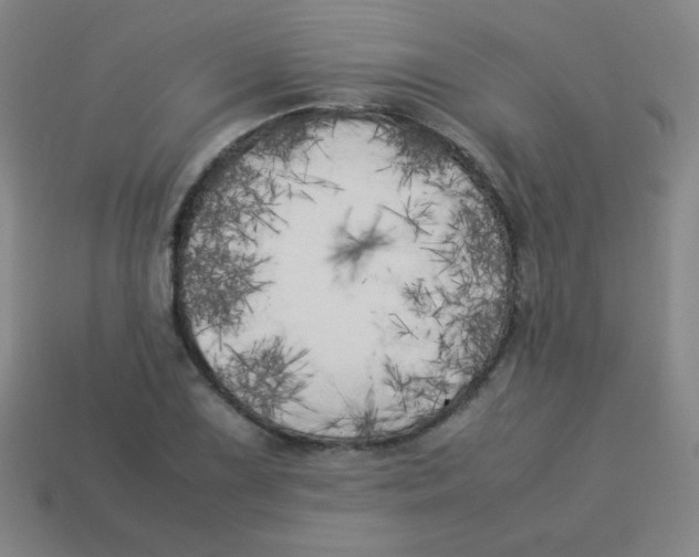 X0000113891075200910221412