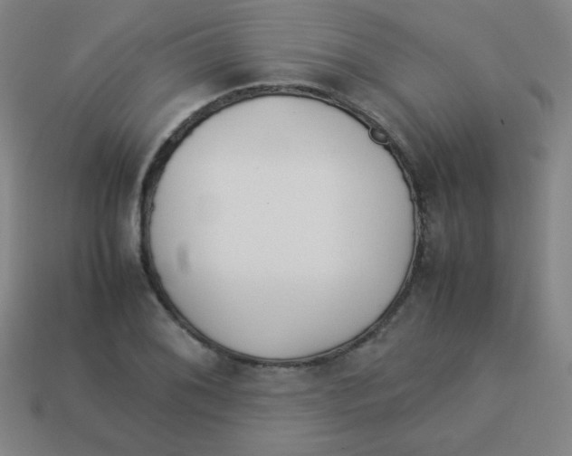 X0000113891076200910221412