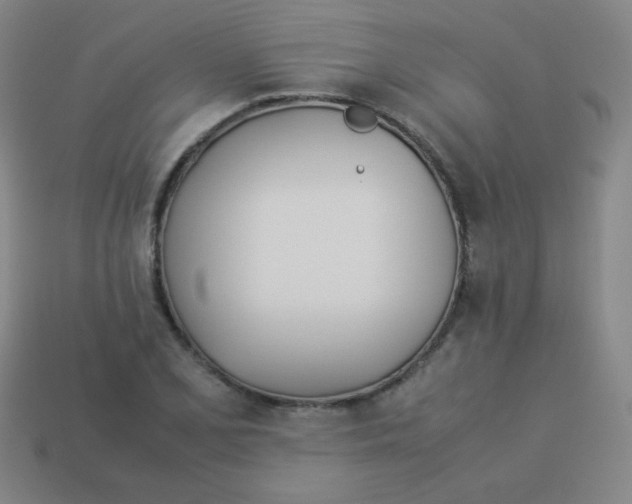 X0000113891077200910221412