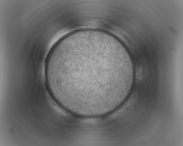 X0000113891078200910221412