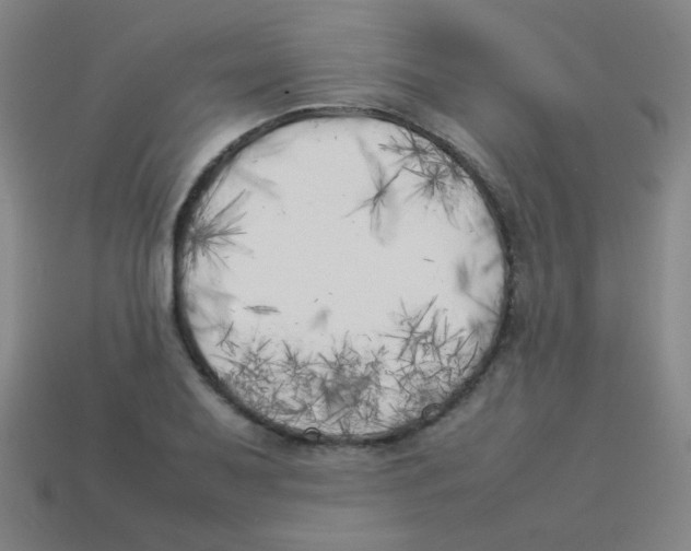 X0000113891079200910221412