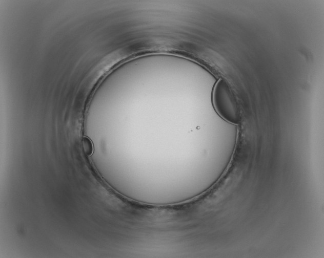 X0000113891081200910221412