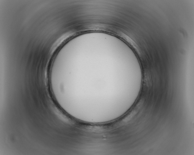 X0000113891082200910221412