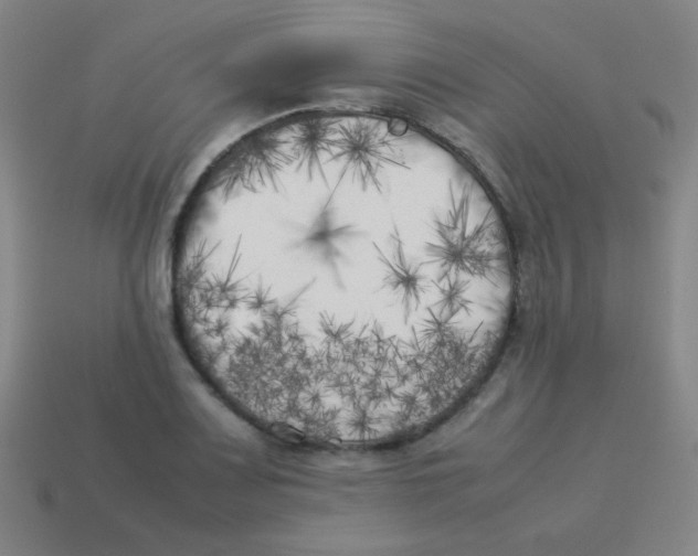 X0000113891083200910221412