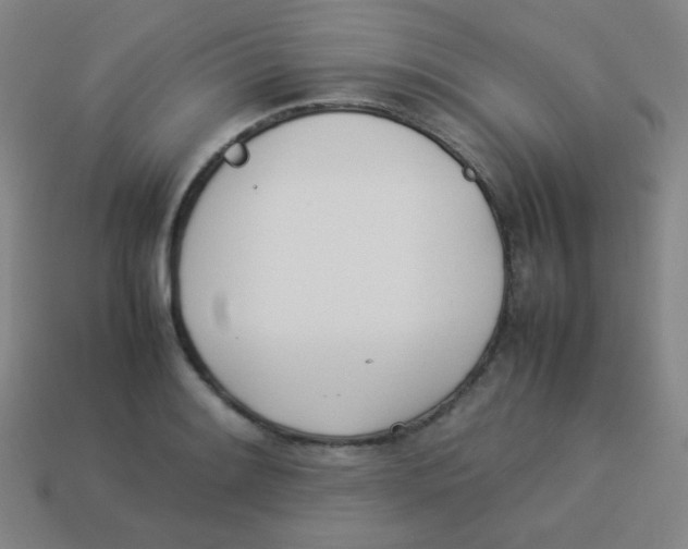 X0000113891084200910221412