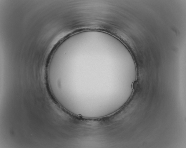 X0000113891085200910221412