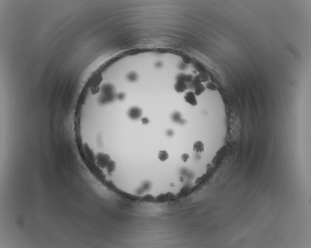 X0000113891086200910221412