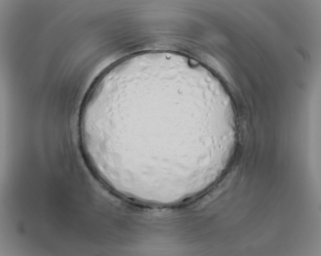 X0000113891087200910221411