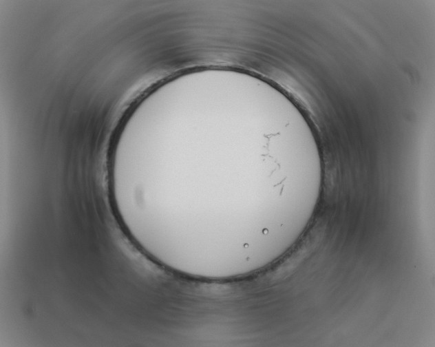 X0000113891088200910221411