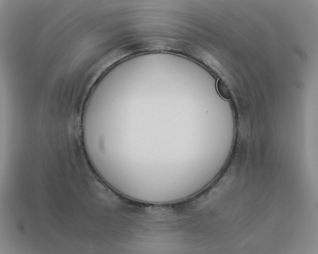 X0000113891089200910221411
