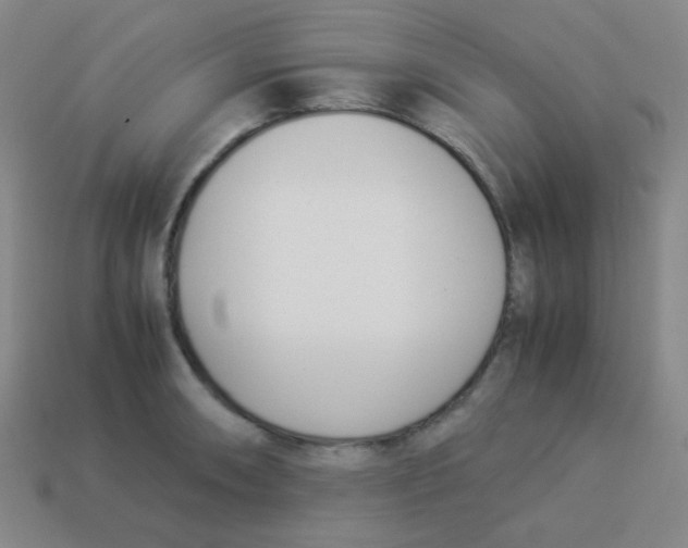 X0000113891090200910221411