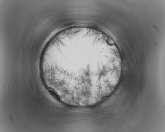 X0000113891091200910221411