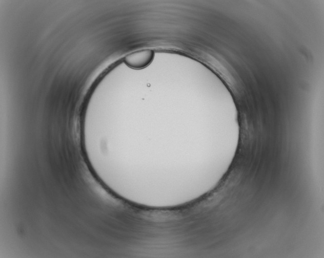 X0000113891092200910221411