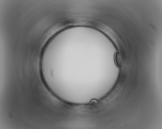 X0000113891093200910221411