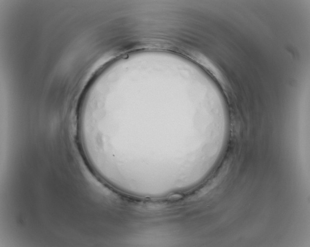 X0000113891095200910221411