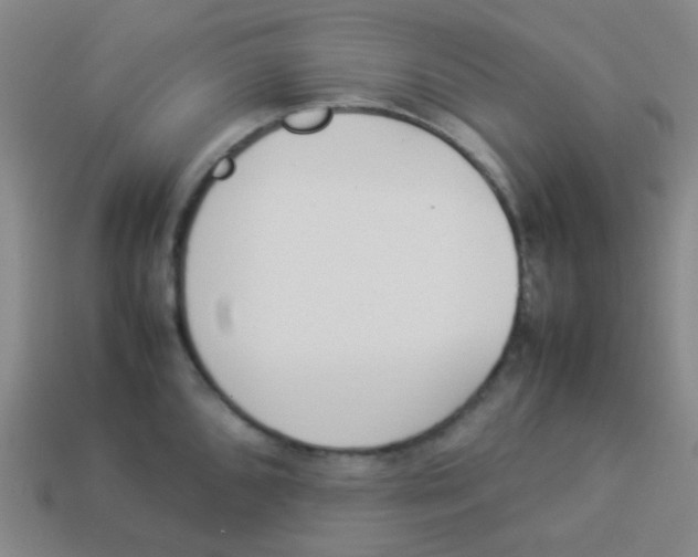 X0000113891096200910221411