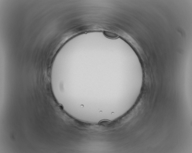 X0000113891097200910221411