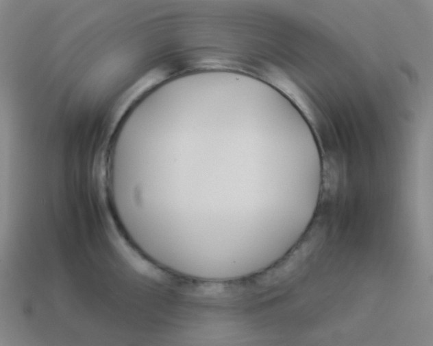X0000113891098200910221411