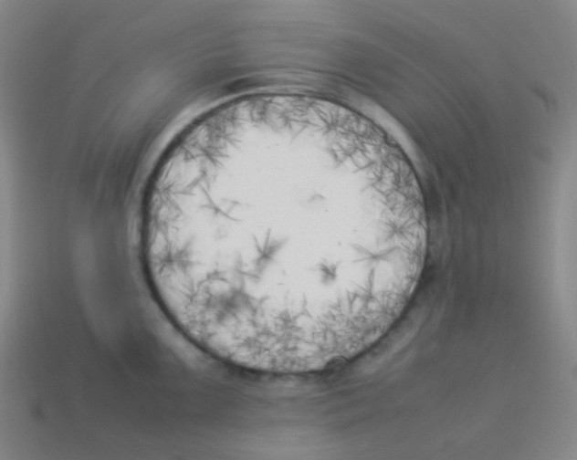 X0000113891099200910221411