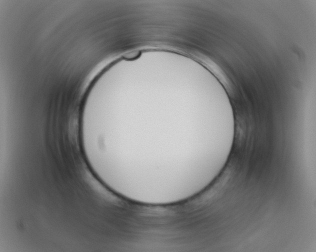 X0000113891100200910221411